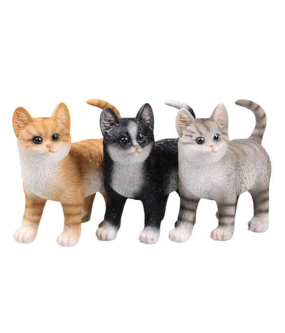 Γατάκι όρθιο