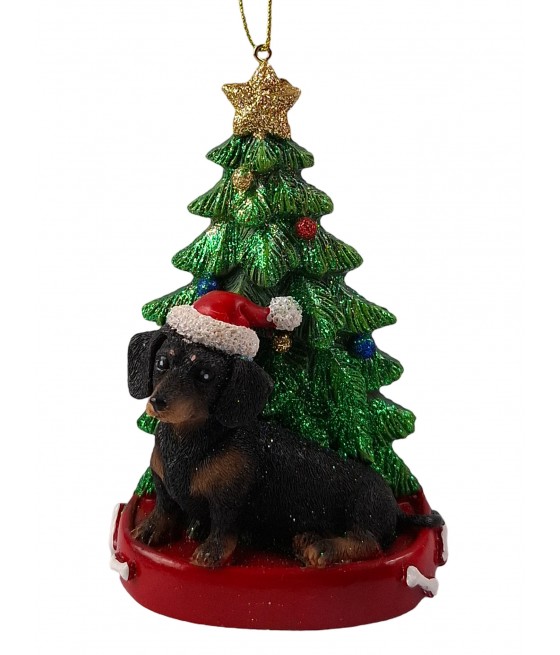 Ντάτσχουντ (Dachshund)...