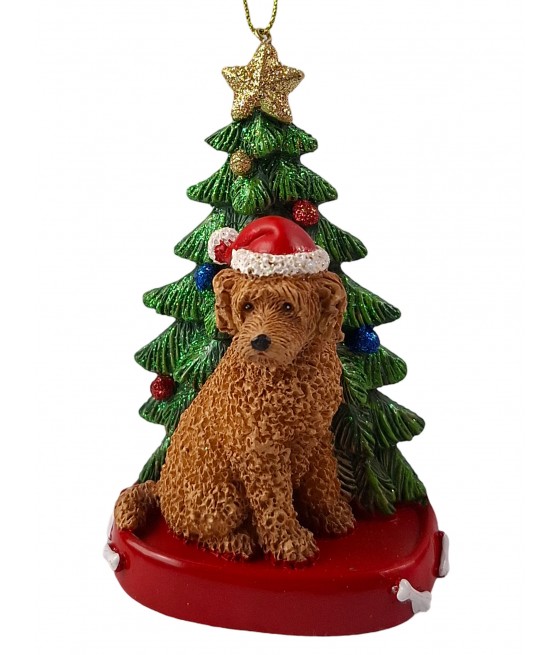 Άπρικοτ Πούντλ σκύλος (Apricot Poodle) με δέντρο, κρεμαστό στολίδι