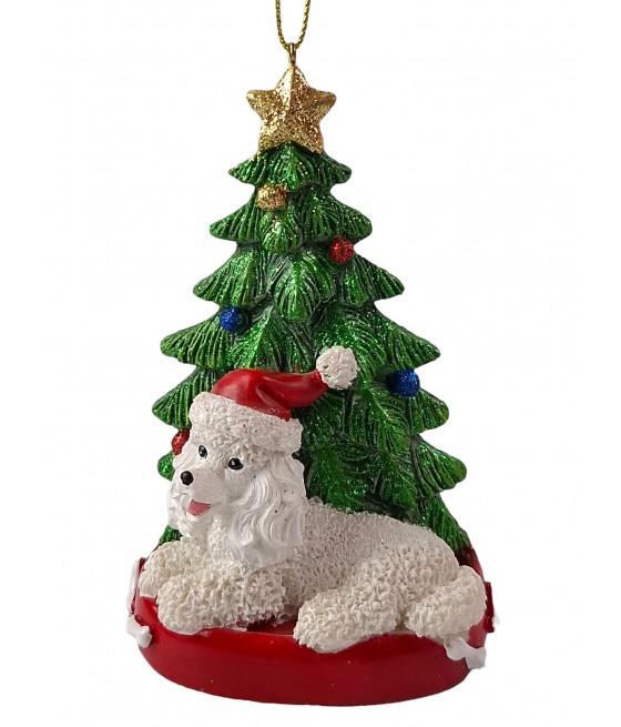 Πούντλ σκύλος (Poodle) με...