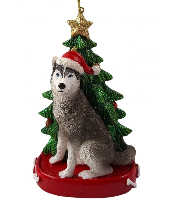 Χάσκι σκύλος (Husky) με...