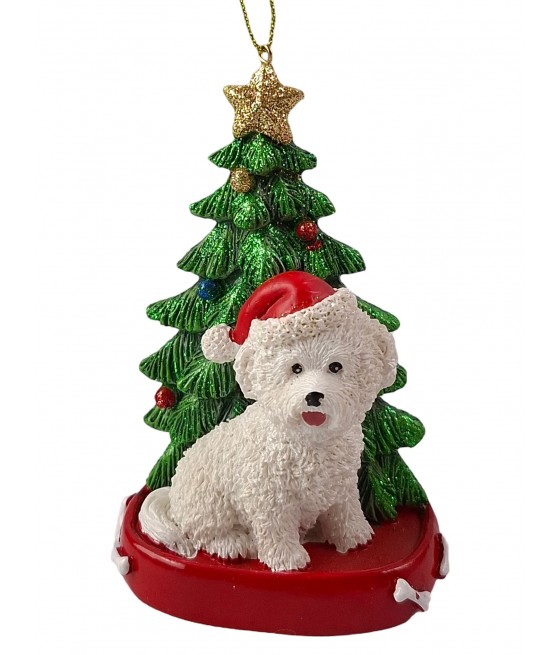 Μπισόν Φριζ (Bichon Frise)...