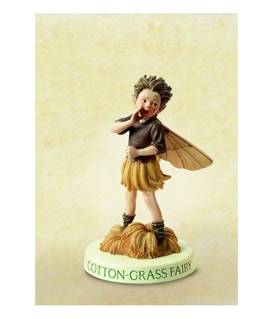 Νεραϊδόπαιδο Cotton Grass,...