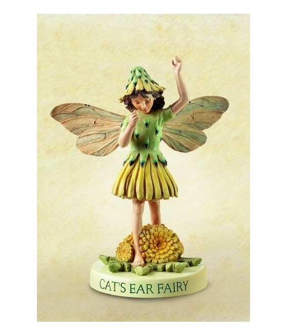 Νεράιδα Cat's Ear, όρθια
