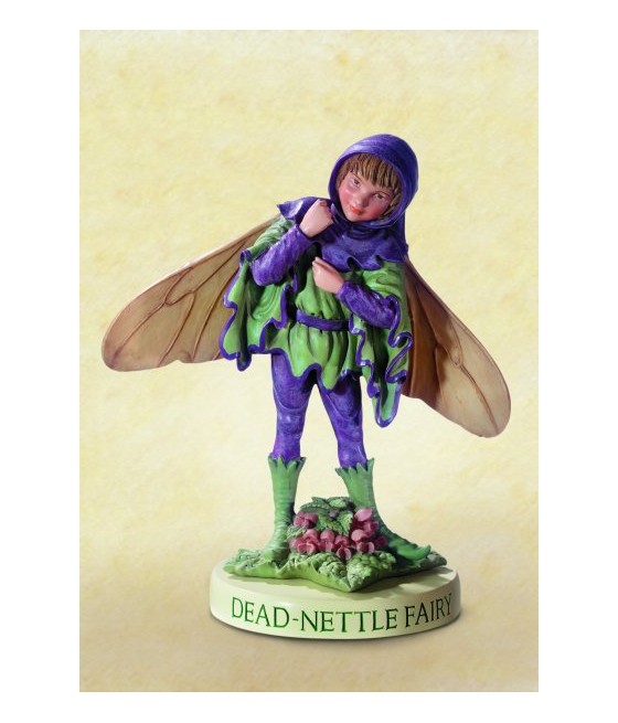 Νεραϊδόπαιδο Dead Nettle,...