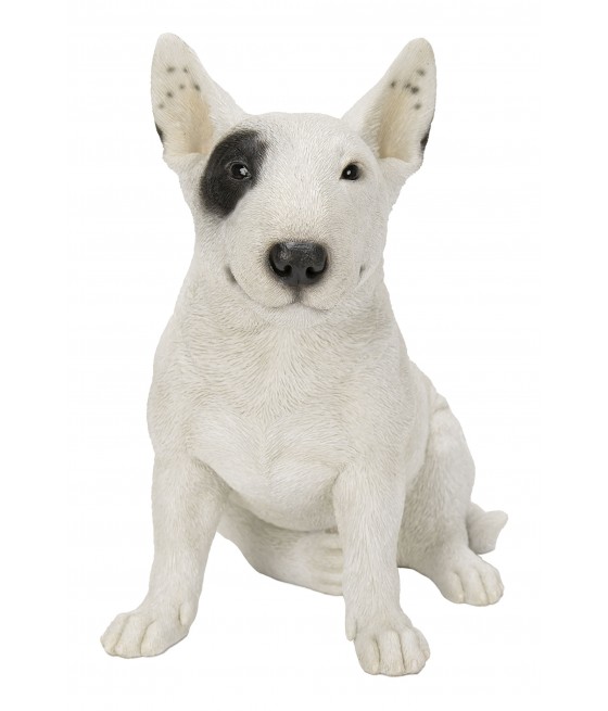 Μπούλ Τεριέ (Bull Terrier)...
