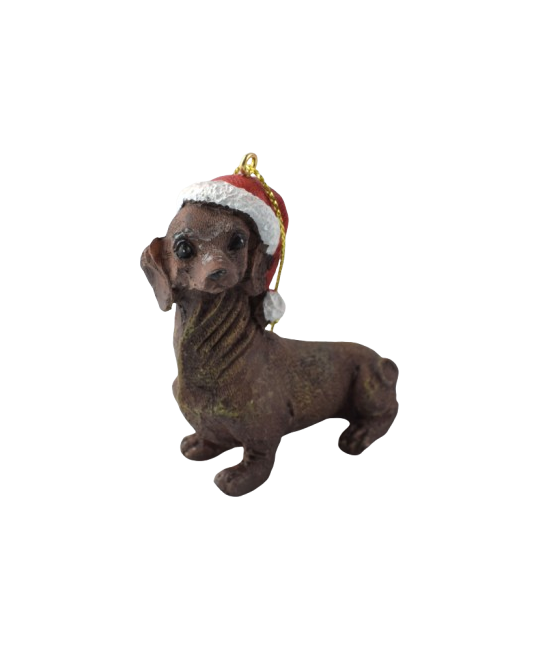 Ντάτσχουντ (Dachshund)...