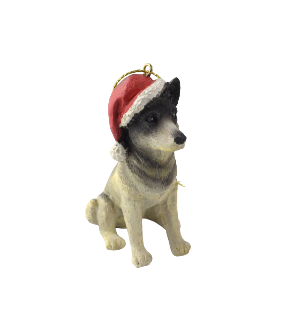 Χάσκυ (Husky) σκύλος, με...