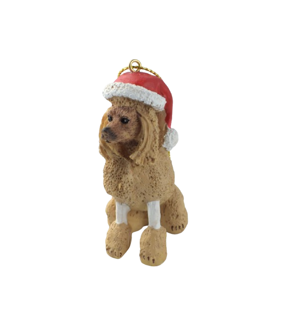 Πούντλ (Poodle) σκύλος, με...