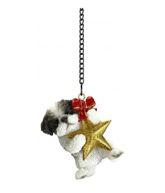 Σιχ Τσου σκύλος (Shih Tzu)...