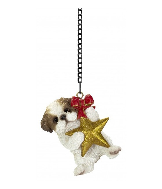 Σιχ Τσου σκύλος (Shih Tzu)...