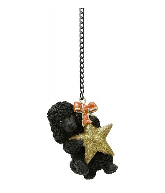 Πούντλ σκύλος (Poodle)...