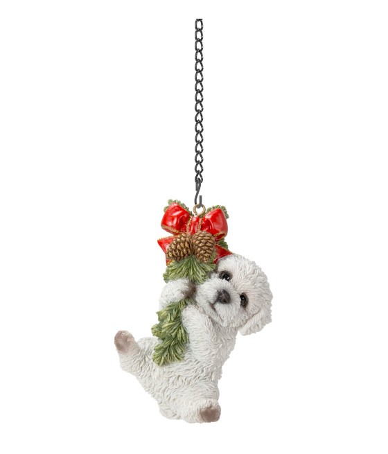 Μαλτέζ (Bichon Frise -...
