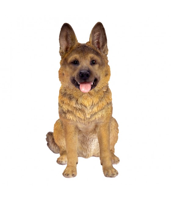 Γερμανικός ποιμενικός σκύλος, καθιστός, καφέ