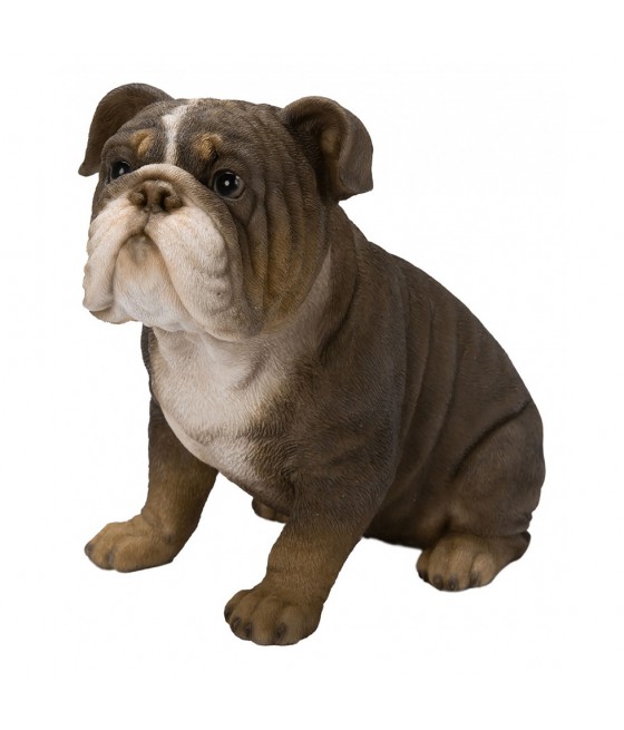Μπουλντόγκ (Bulldog)...