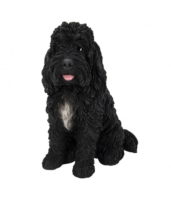 Κοκαπού (Cockapoo) σκύλος,...