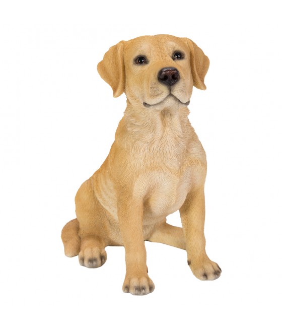 Λαμπραντόρ (Labrador)...