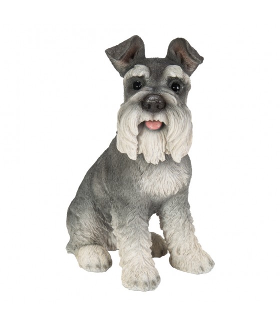 Σνάουτσερ (Schnauzer)...