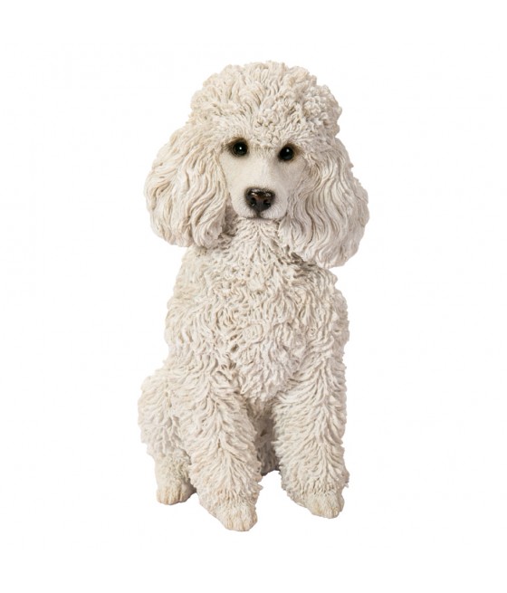 Πούντλ (Poodle) σκύλος,...