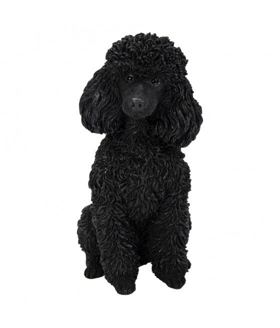Πούντλ (Poodle) σκύλος,...
