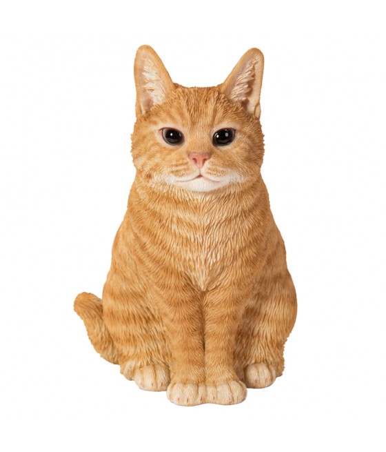 Γάτα Τζίντζερ (Ginger), καθιστή