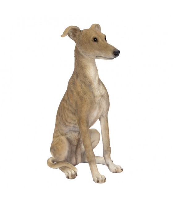 Γουίπετ (Whippet) σκύλος,...
