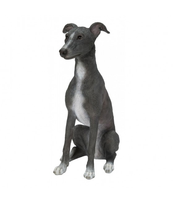 Γουίπετ (Whippet) σκύλος,...