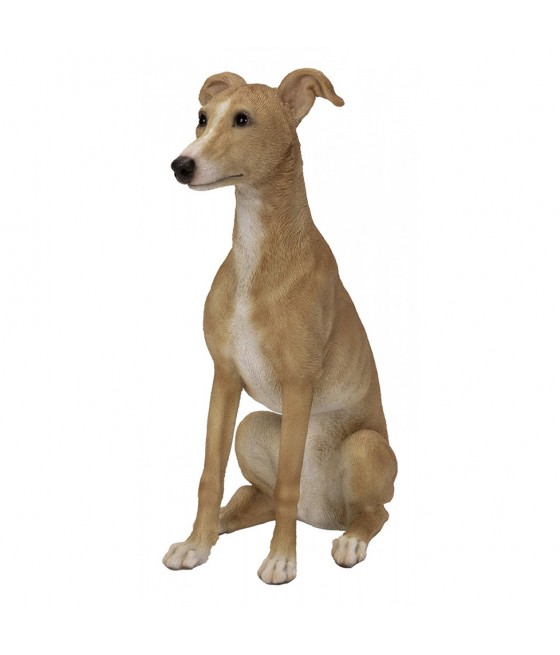Γουίπετ (Whippet) σκύλος,...