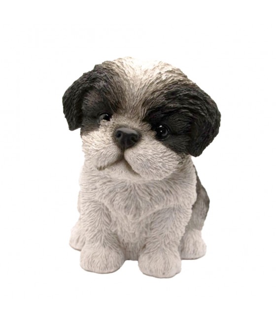 Σιχ Τσου (Shih Tzu)