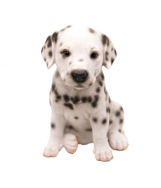 Σκύλος Δαλματίας (Dalmatian...