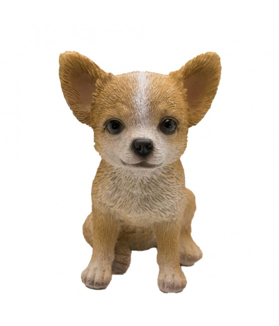 Τσιουάουα (Chihuahua)