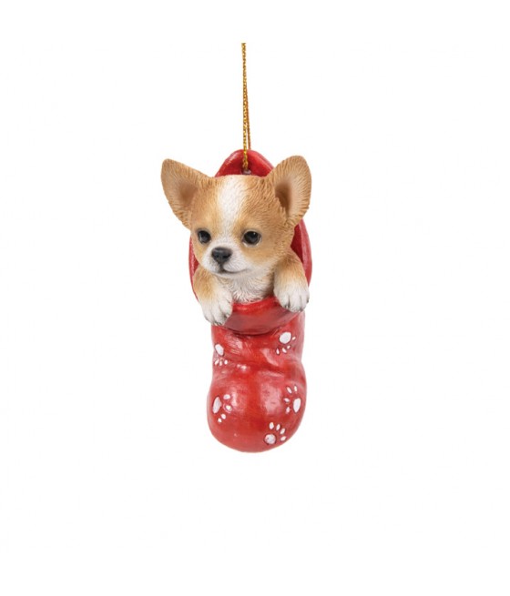 Τσιουάουα (Chihuahua) σκύλος, μέσα σε κάλτσα, κρεμαστό